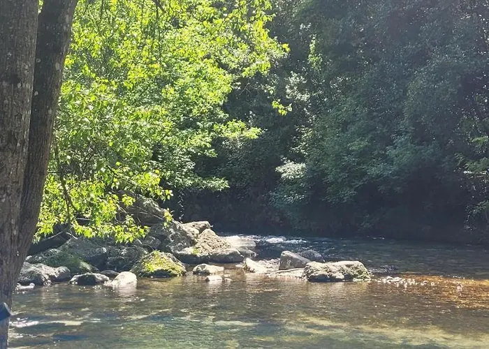 Апартаменты C&c *